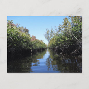 Postal de Beau Florida Everglades