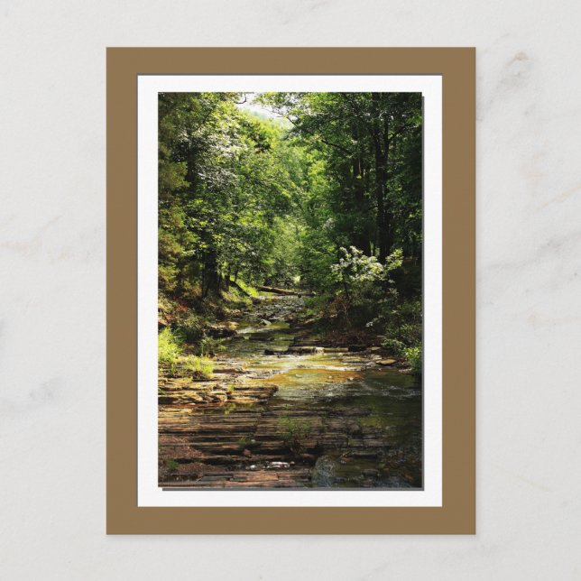 Postal de Beavers Bend State Park (Anverso)