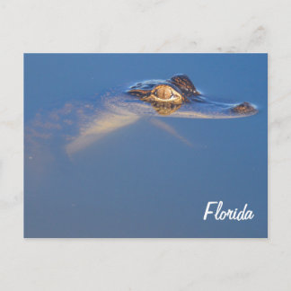 Postal de bebe ligador