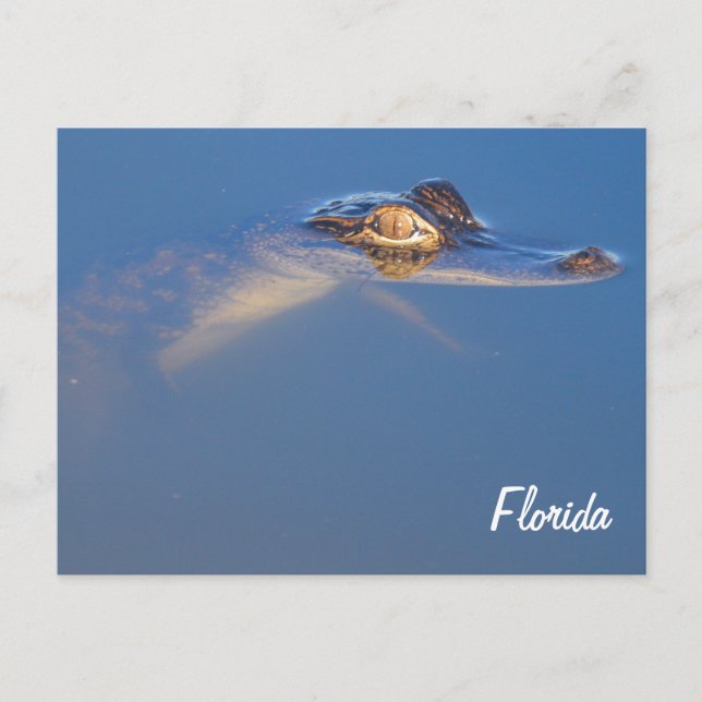 Postal de bebe ligador (Anverso)