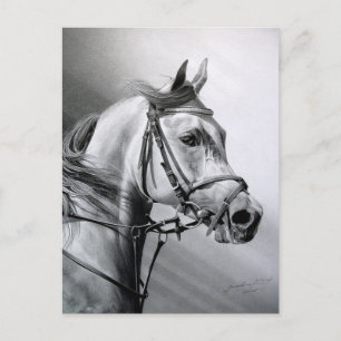 postal de BELLEZA ARABIA