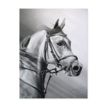 postal de BELLEZA ARABIA