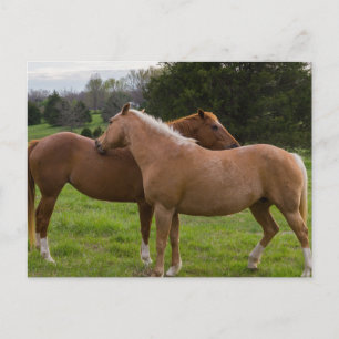 Postal de belleza para el baño