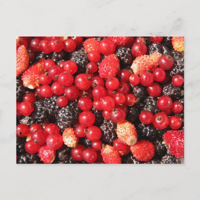 postal de berries salvajes (Anverso)