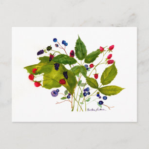 postal de berry