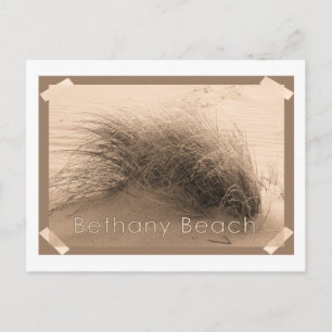 Postal de Bethany Grass