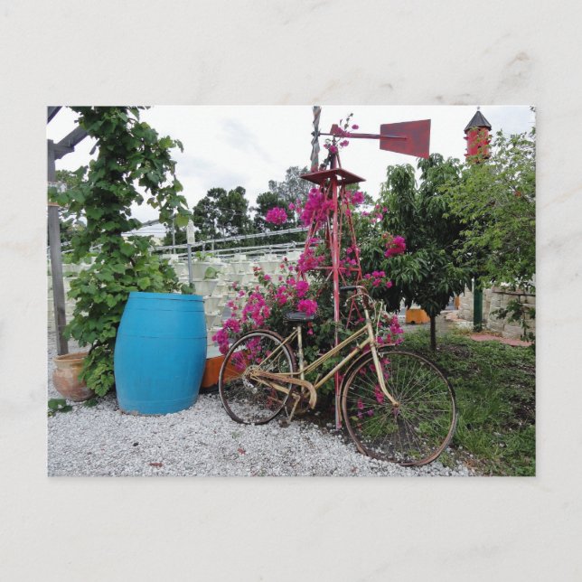 Postal de bicicleta antigua (Anverso)