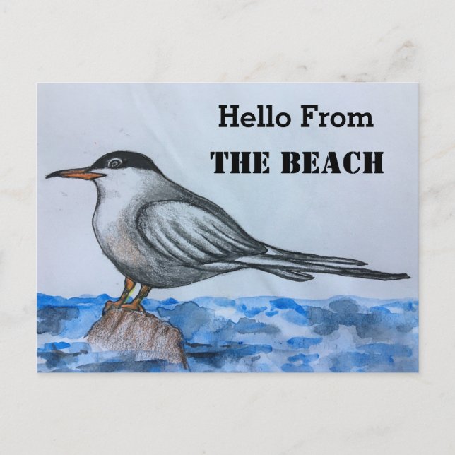 Postal de bienvenida de Beach Tern Seagull (Anverso)