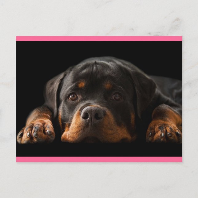 Postal de bienvenida de Rottweiler Puppy Dog - En  (Anverso)