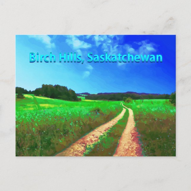 Postal de Birch Hills SK - Carretera campestre (Anverso)