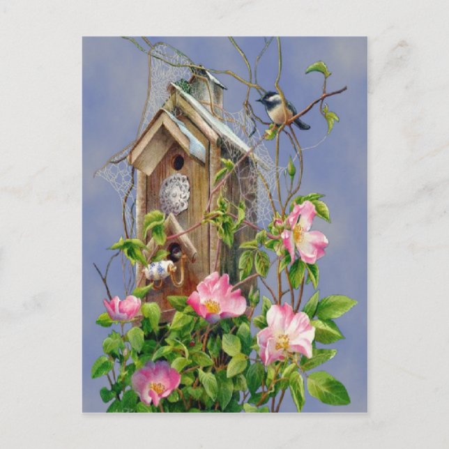 Postal de Bird House (Anverso)