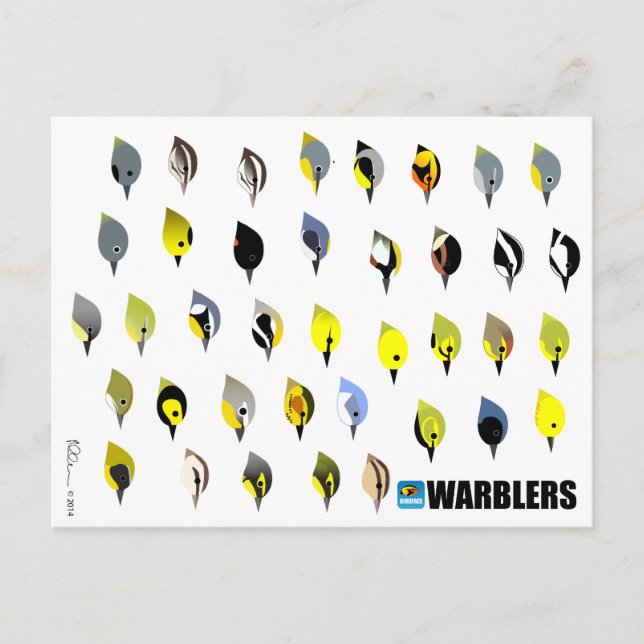 Postal de BirdFace Warbler (Anverso)