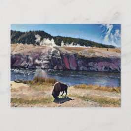 Postal de Bison Wyoming Yellowstone Wildlife Art