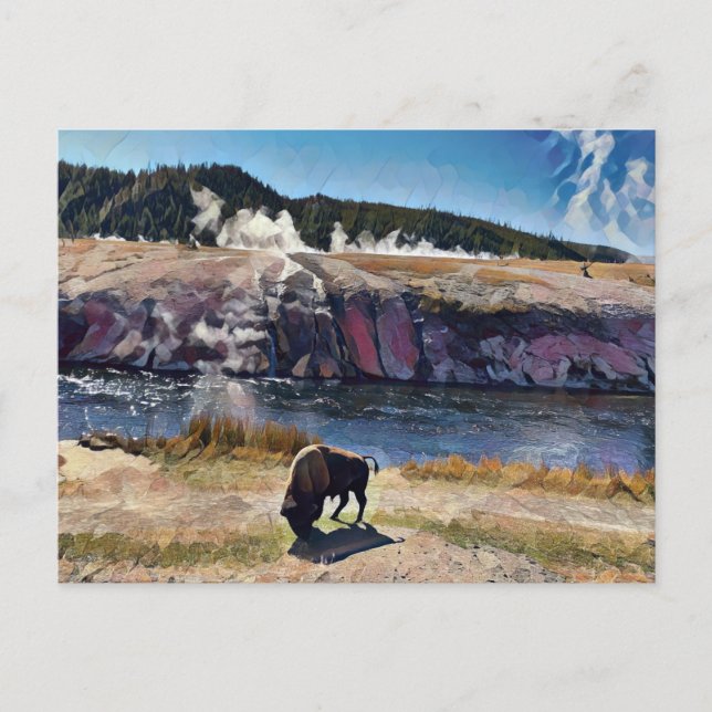 Postal de Bison Wyoming Yellowstone Wildlife Art (Anverso)
