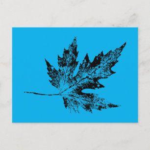 Postal de "Black and Blue Maple"