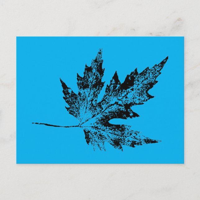 Postal de "Black and Blue Maple" (Anverso)