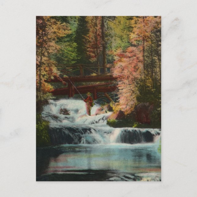 Postal de Black Hills Fisherman Vintage (Anverso)