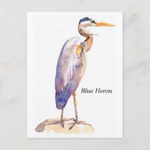 postal de Blue Heron