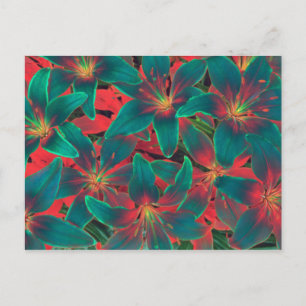 Postal de Blue Lilies