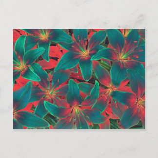 Postal de Blue Lilies