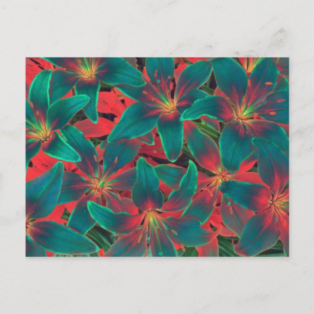 Postal de Blue Lilies (Anverso)