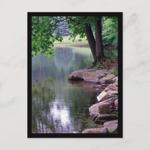 Postal de Blue Spuce Park #1