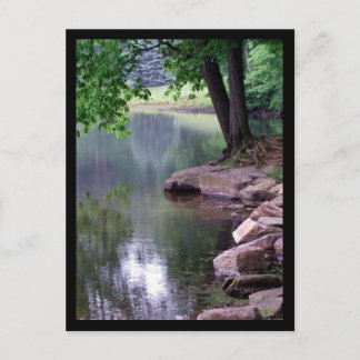 Postal de Blue Spuce Park #1