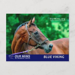 postal de Blue Viking