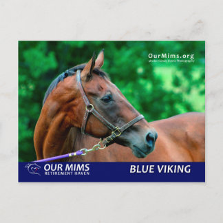 postal de Blue Viking