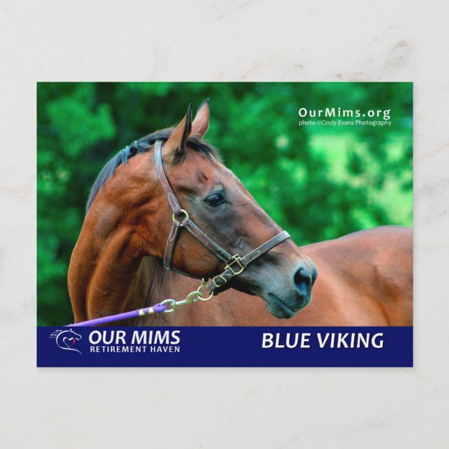 postal de Blue Viking (Anverso)
