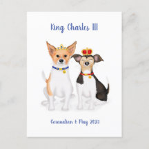 Postal de Bluebell y Beth Jack Russells Coronation