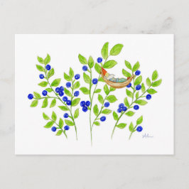 Postal de Blueberry Bush Gnome