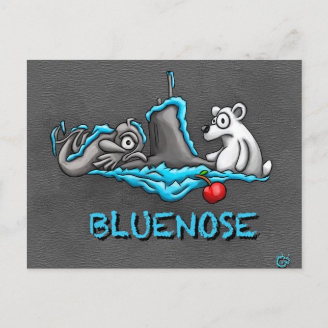 postal de Bluenose Phins (Anverso)