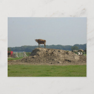 Postal de bonito permanente