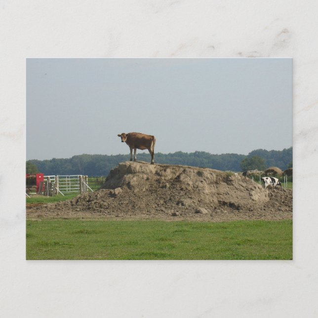 Postal de bonito permanente (Anverso)