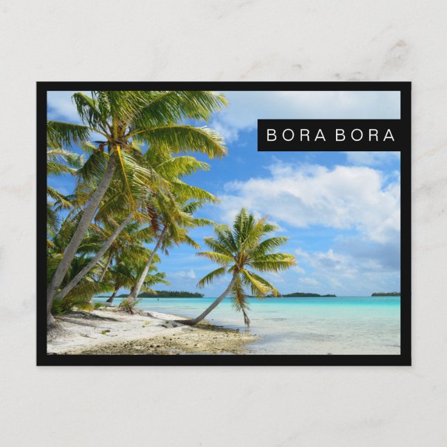 Postal de borde negro de la playa de palmeras del  (Anverso)