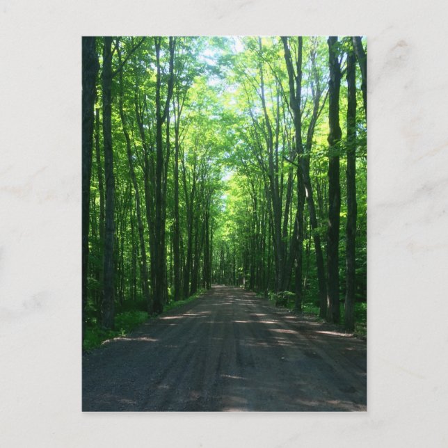 postal de bosque (Anverso)