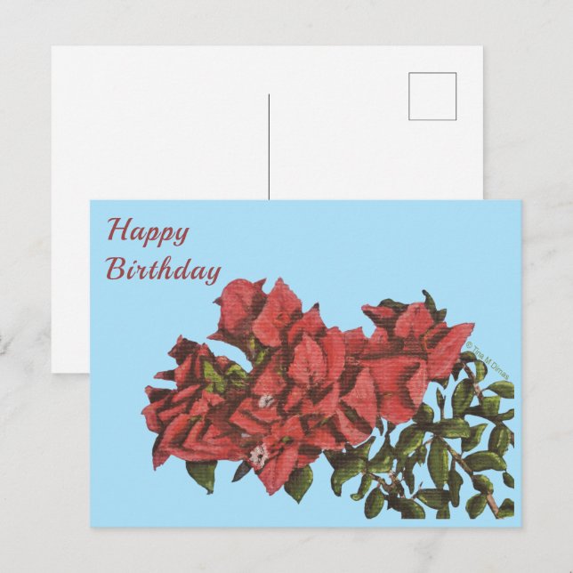 Postal de Bougainvillea (Anverso / Reverso)