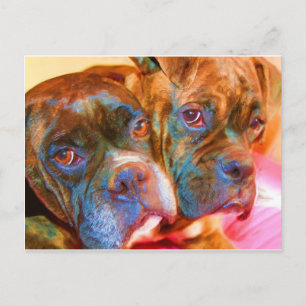 Postal de Boxer Art
