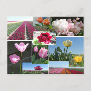 Postal de bricolaje de Tulips Collage