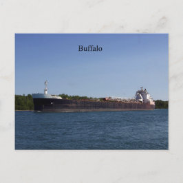 Postal de búfalo