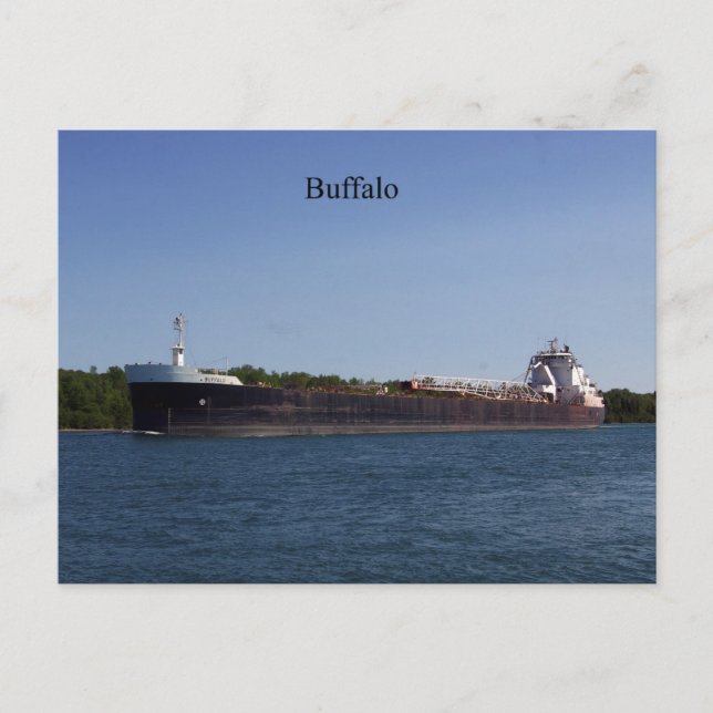 Postal de búfalo (Anverso)