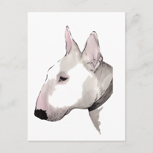 postal de bull terrier del inglés (Anverso)