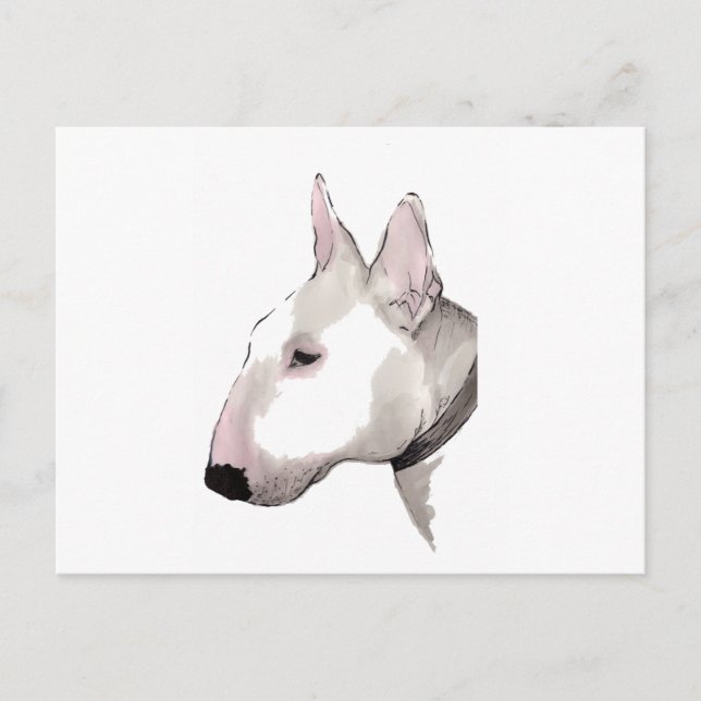 postal de bull terrier en inglés (Anverso)