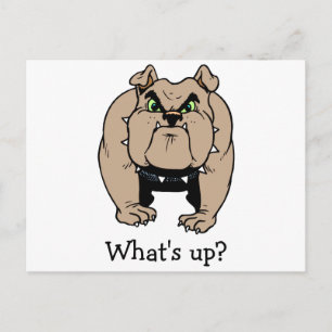 Postal de bulldog