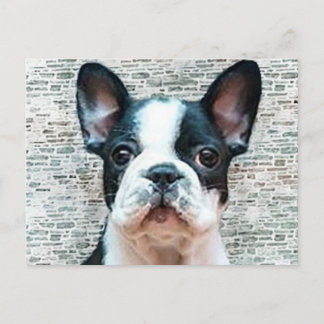 Postal de Bulldog francés