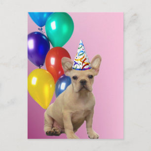 Postal de Bulldog francés de cumpleaños feliz