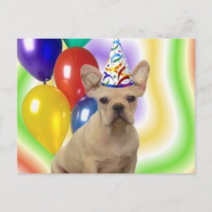 Postal de Bulldog francés de cumpleaños feliz