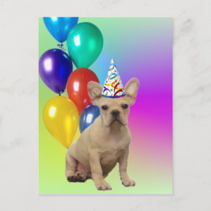 Postal de Bulldog francés de cumpleaños feliz