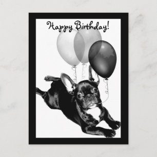Postal de Bulldog francés de cumpleaños feliz